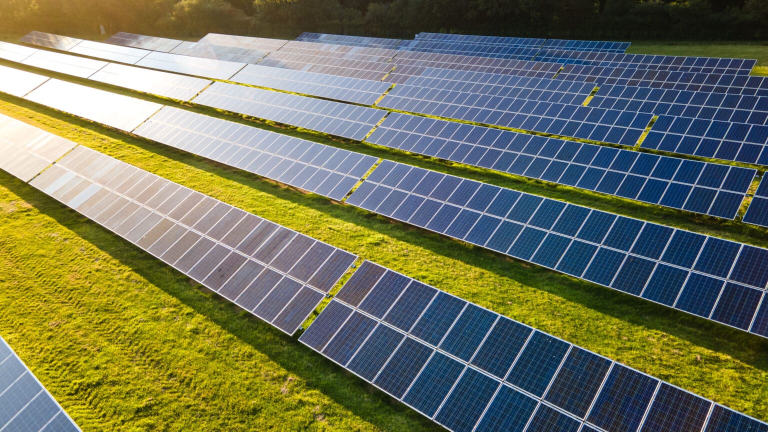 Ferme solaire de Marcoussis : Eco pâturage et parc photovoltaïque